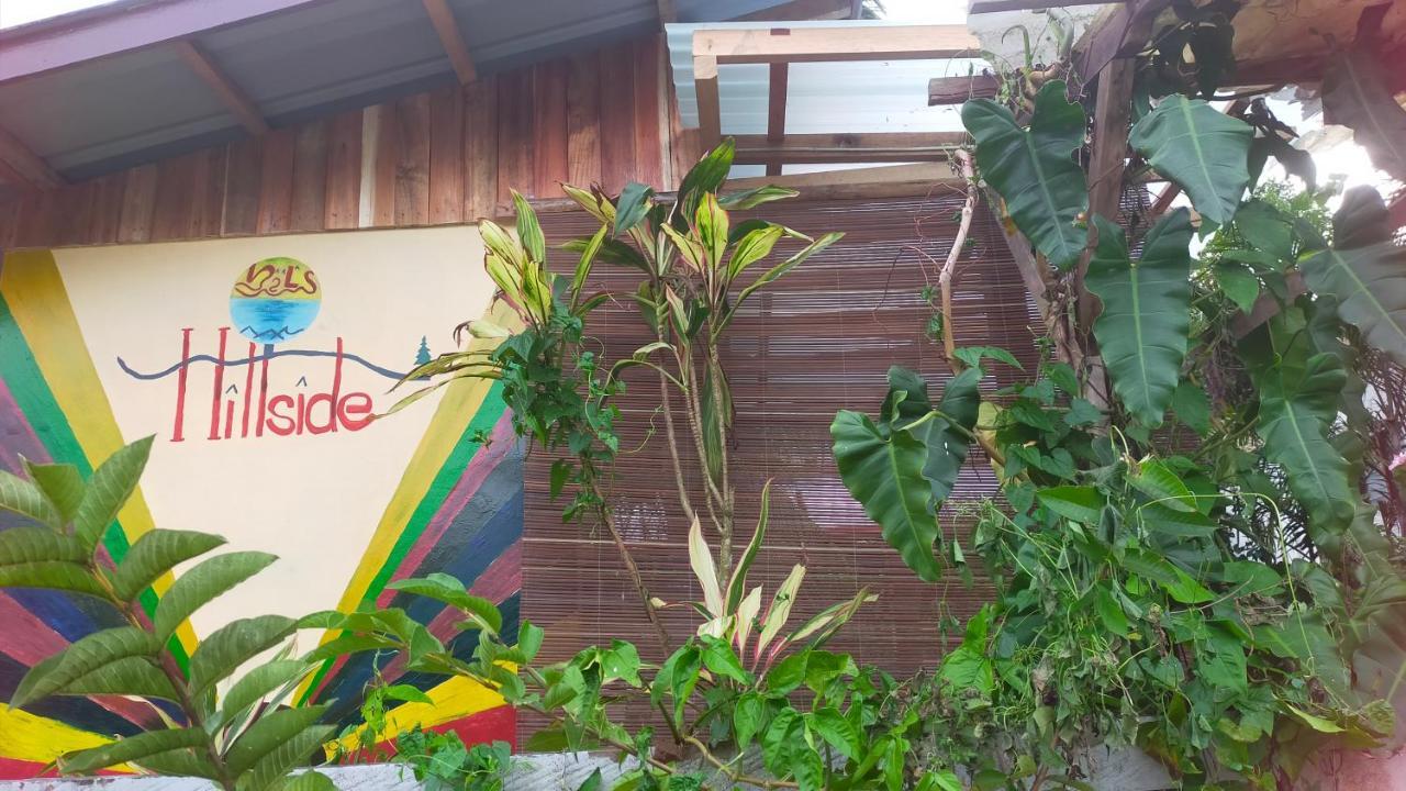 MiL's Hillside Tourist Inn San Vicente  Extérieur photo