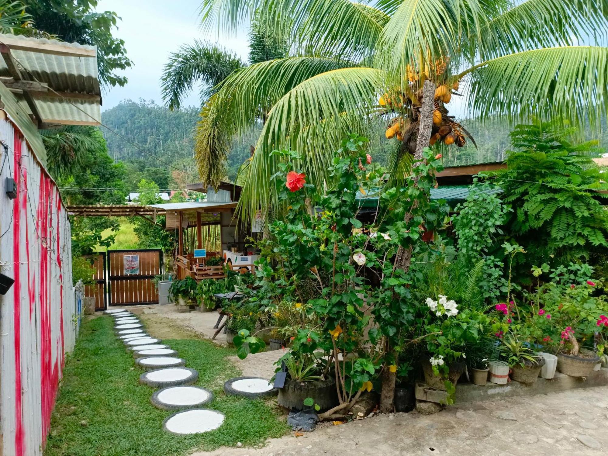 MiL's Hillside Tourist Inn San Vicente  Extérieur photo